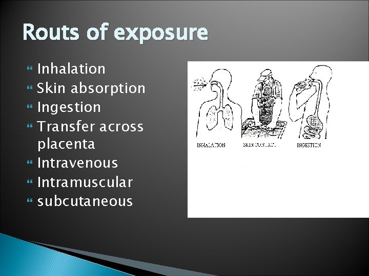 Routs of exposure Inhalation Skin absorption Ingestion Transfer across placenta Intravenous Intramuscular subcutaneous 