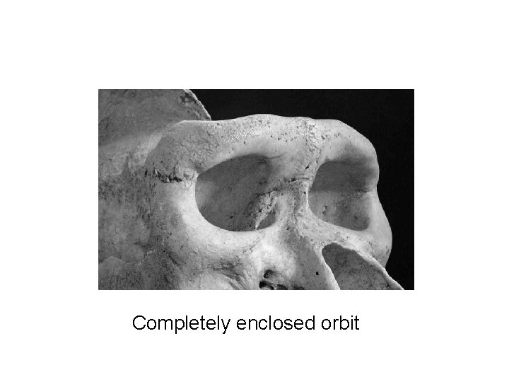 Completely enclosed orbit 