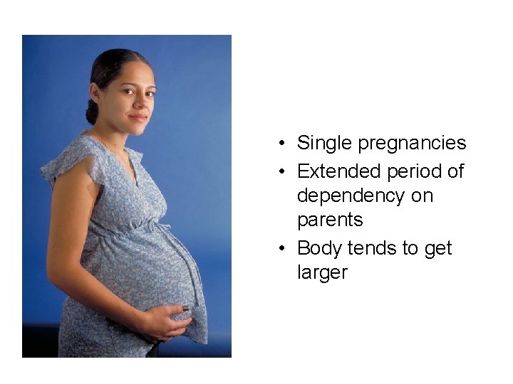  • Single pregnancies • Extended period of dependency on parents • Body tends