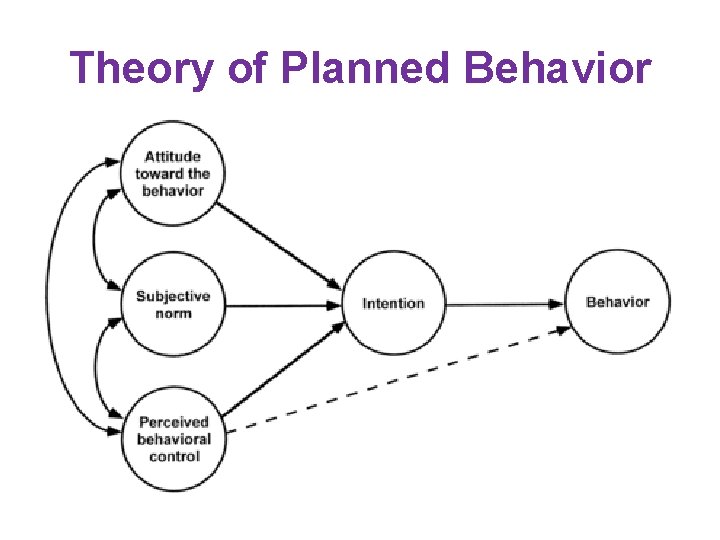 Theory of Planned Behavior 