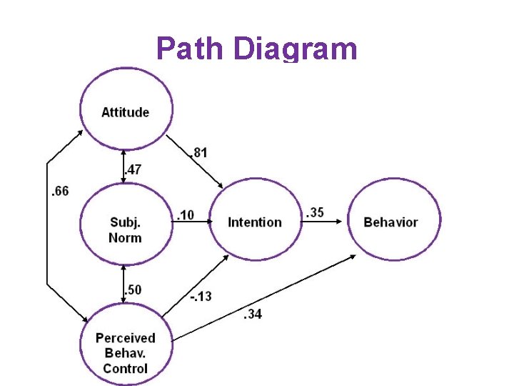 Path Diagram 