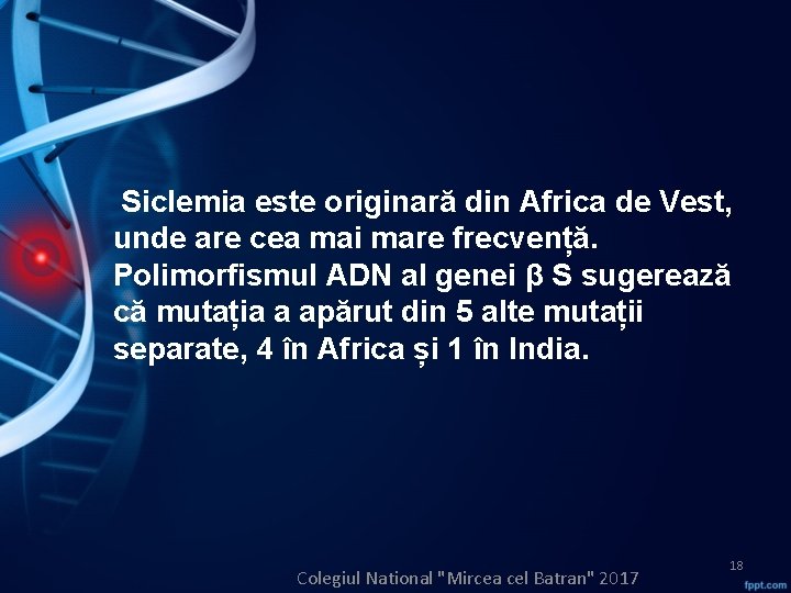  Siclemia este originară din Africa de Vest, unde are cea mai mare frecvență.