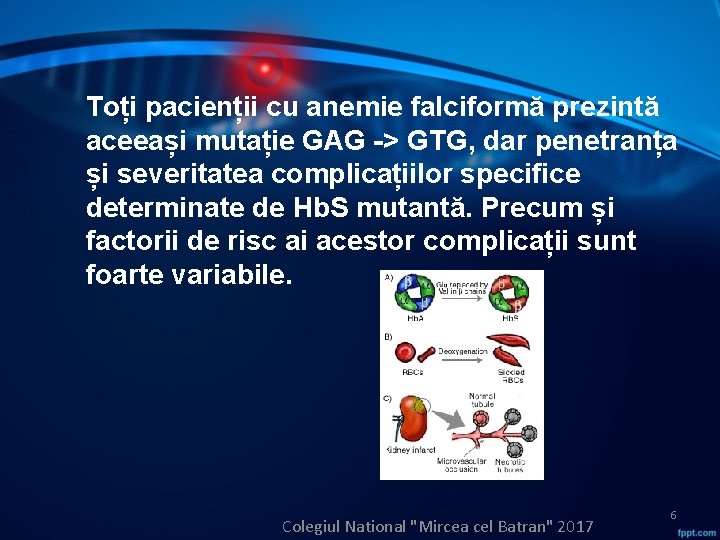 Toți pacienții cu anemie falciformă prezintă aceeași mutație GAG -> GTG, dar penetranța și