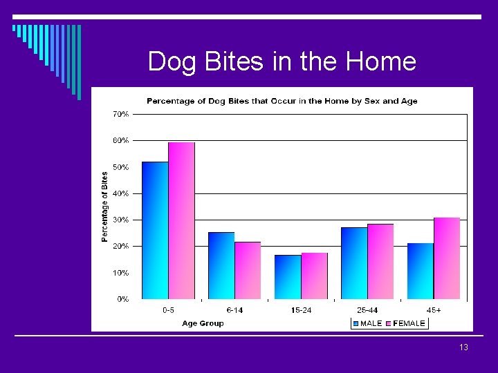 Dog Bites in the Home 13 