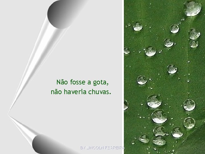 Não fosse a gota, não haveria chuvas. BY LINCOLN FERREIRA 