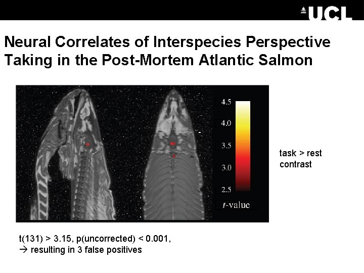 Neural Correlates of Interspecies Perspective Taking in the Post-Mortem Atlantic Salmon task > rest