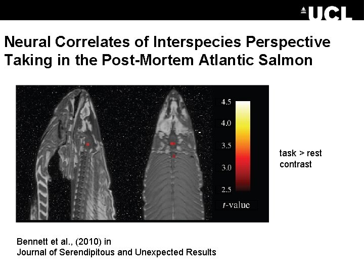 Neural Correlates of Interspecies Perspective Taking in the Post-Mortem Atlantic Salmon task > rest