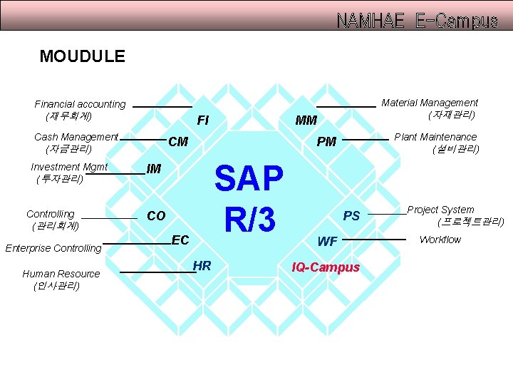 MOUDULE Financial accounting (재무회계) FI Cash Management (자금관리) Investment Mgmt (투자관리) Controlling (관리회계) Enterprise