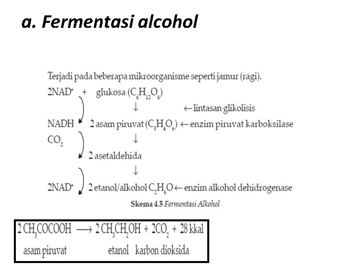 a. Fermentasi alcohol 