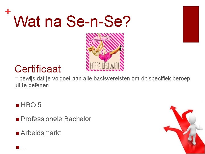 + Wat na Se-n-Se? Certificaat = bewijs dat je voldoet aan alle basisvereisten om