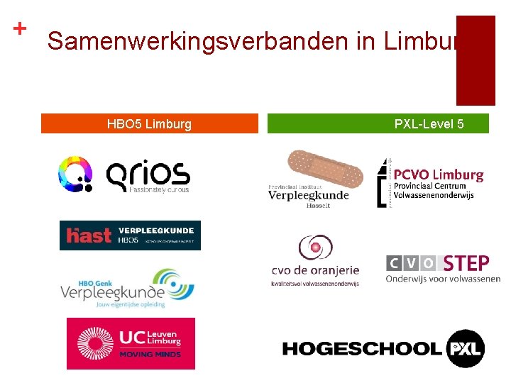 + Samenwerkingsverbanden in Limburg HBO 5 Limburg PXL-Level 5 