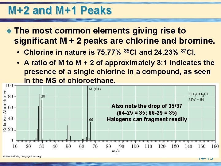 M+2 and M+1 Peaks u The most common elements giving rise to significant M