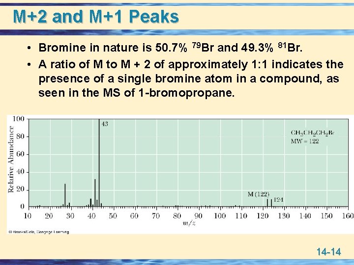 M+2 and M+1 Peaks • Bromine in nature is 50. 7% 79 Br and