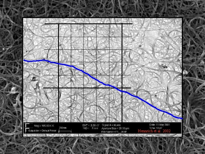 Hennrich et al. 2002 