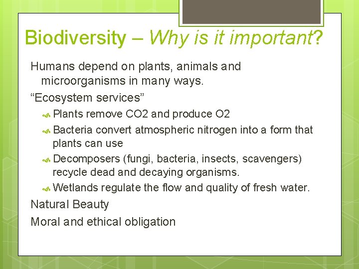 Biodiversity – Why is it important? Humans depend on plants, animals and microorganisms in