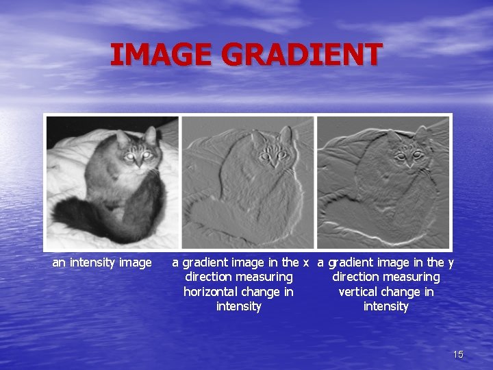 IMAGE GRADIENT an intensity image a gradient image in the x a gradient image