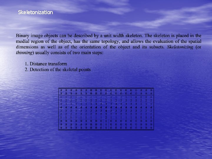 Skeletonization 