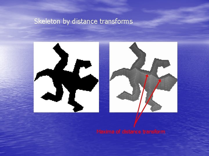 Skeleton by distance transforms Maxima of distance transform 