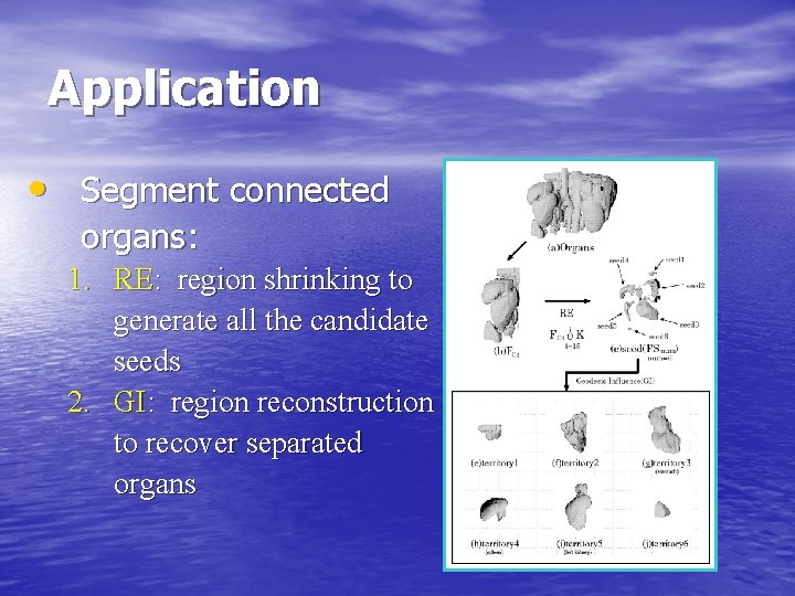 Application • Segment connected organs: 1. RE: region shrinking to generate all the candidate