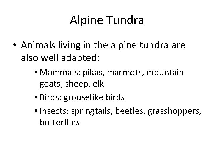 Alpine Tundra • Animals living in the alpine tundra are also well adapted: •