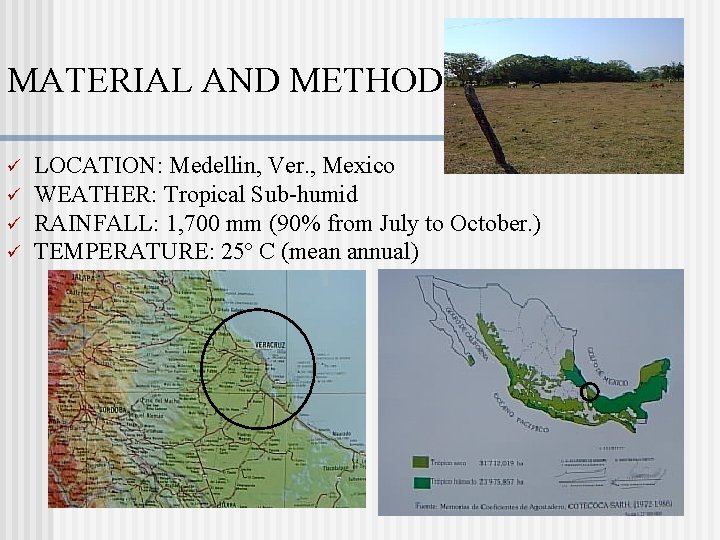 MATERIAL AND METHOD ü ü LOCATION: Medellin, Ver. , Mexico WEATHER: Tropical Sub-humid RAINFALL: