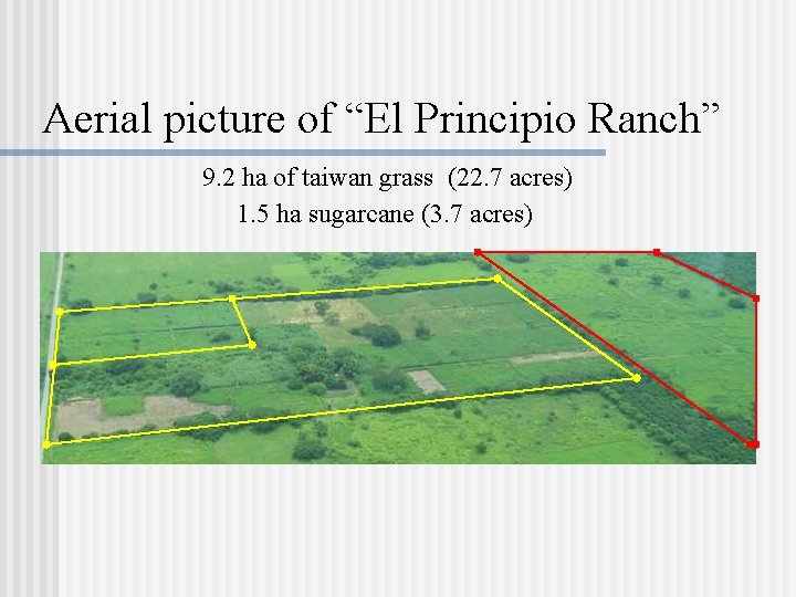 Aerial picture of “El Principio Ranch” 9. 2 ha of taiwan grass (22. 7