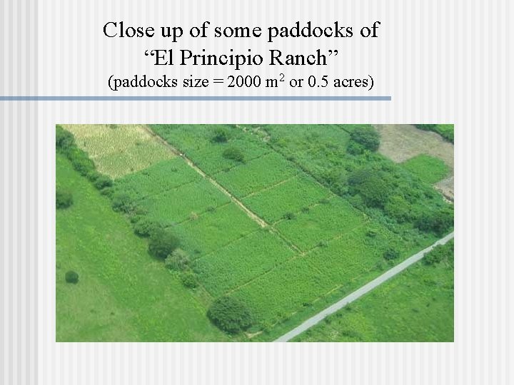 Close up of some paddocks of “El Principio Ranch” (paddocks size = 2000 m