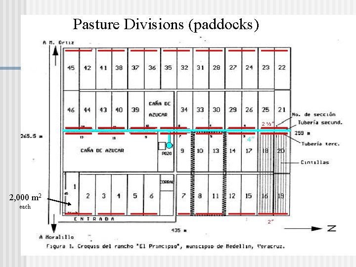 Pasture Divisions (paddocks) 2 ½” 4” 2, 000 m 2 each 2” 