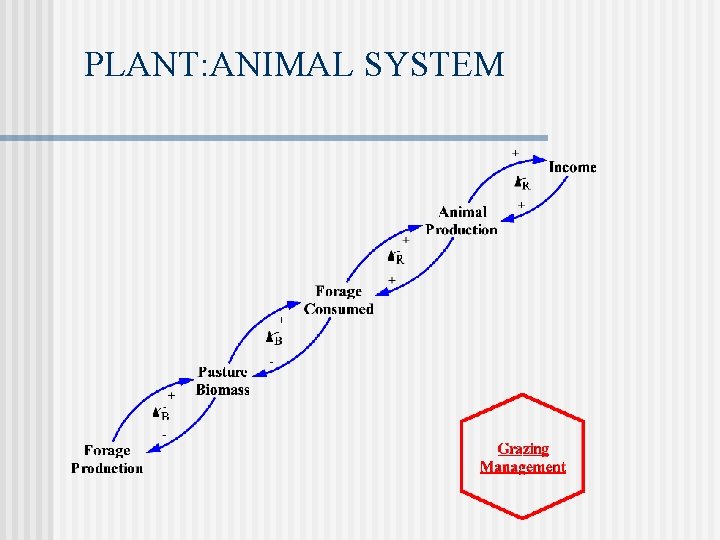 PLANT: ANIMAL SYSTEM 