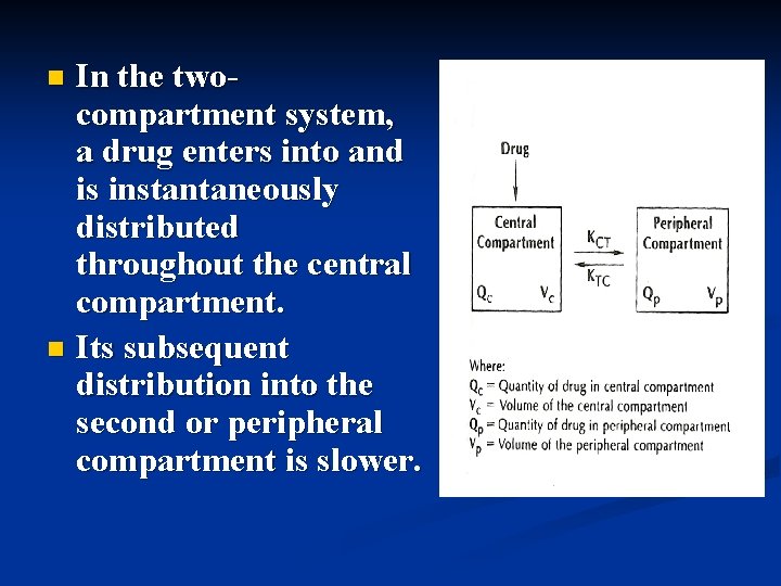In the twocompartment system, a drug enters into and is instantaneously distributed throughout the