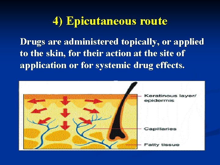 4) Epicutaneous route Drugs are administered topically, or applied to the skin, for their