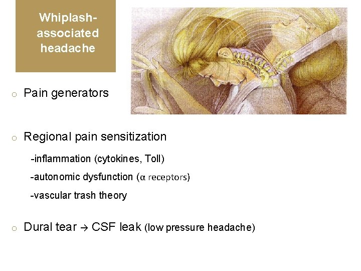 Whiplashassociated headache o Pain generators o Regional pain sensitization -inflammation (cytokines, Toll) -autonomic dysfunction