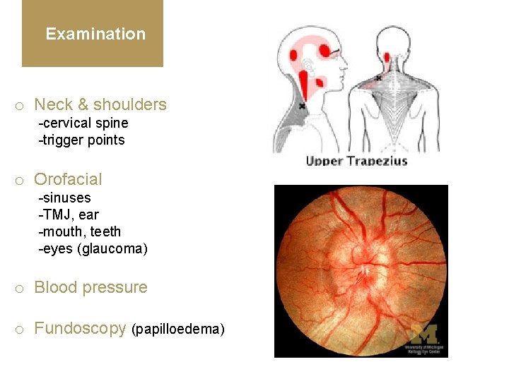 Examination o Neck & shoulders -cervical spine -trigger points o Orofacial -sinuses -TMJ, ear