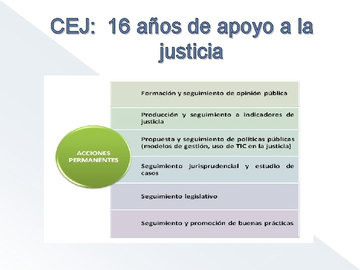 CEJ: 16 años de apoyo a la justicia 