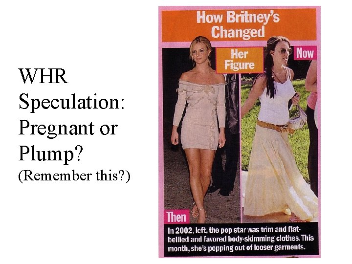 WHR Speculation: Pregnant or Plump? (Remember this? ) 