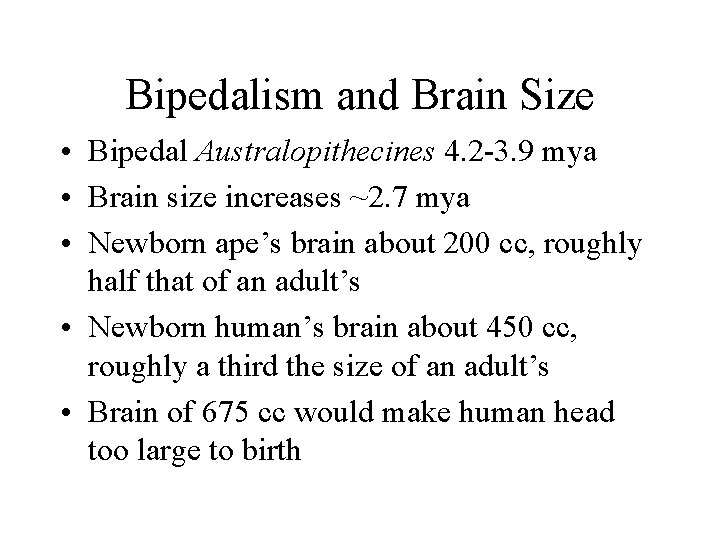 Bipedalism and Brain Size • Bipedal Australopithecines 4. 2 -3. 9 mya • Brain