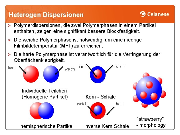 Heterogen Dispersionen Ø Polymerdispersionen, die zwei Polymerphasen in einem Partikel enthalten, zeigen eine signifikant
