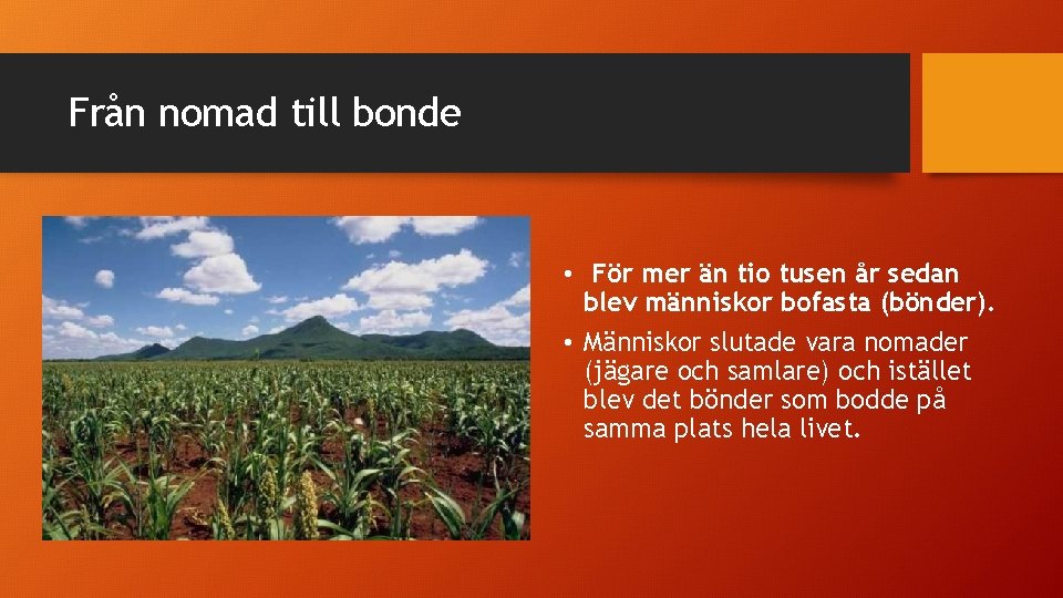 Från nomad till bonde • För mer än tio tusen år sedan blev människor