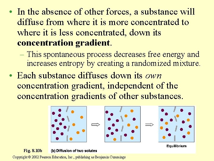  • In the absence of other forces, a substance will diffuse from where