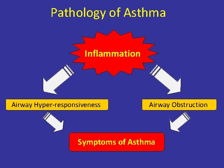 Pathology of Asthma Inflammation Airway Hyper-responsiveness Airway Obstruction Symptoms of Asthma 