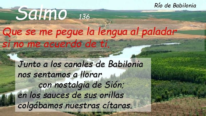 Salmo Río de Babilonia 136 Que se me pegue la lengua al paladar si
