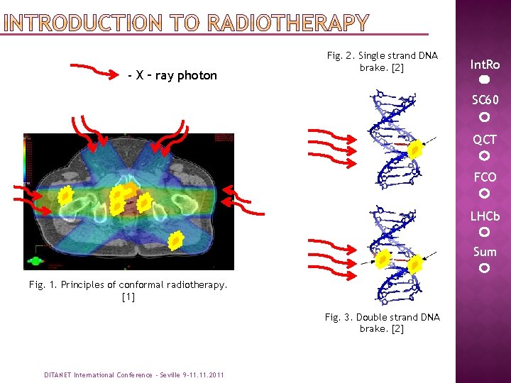 - X – ray photon Fig. 2. Single strand DNA brake. [2] Int. Ro