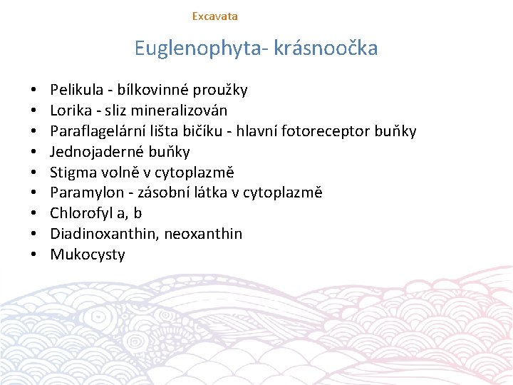 Excavata Euglenophyta- krásnoočka • • • Pelikula - bílkovinné proužky Lorika - sliz mineralizován