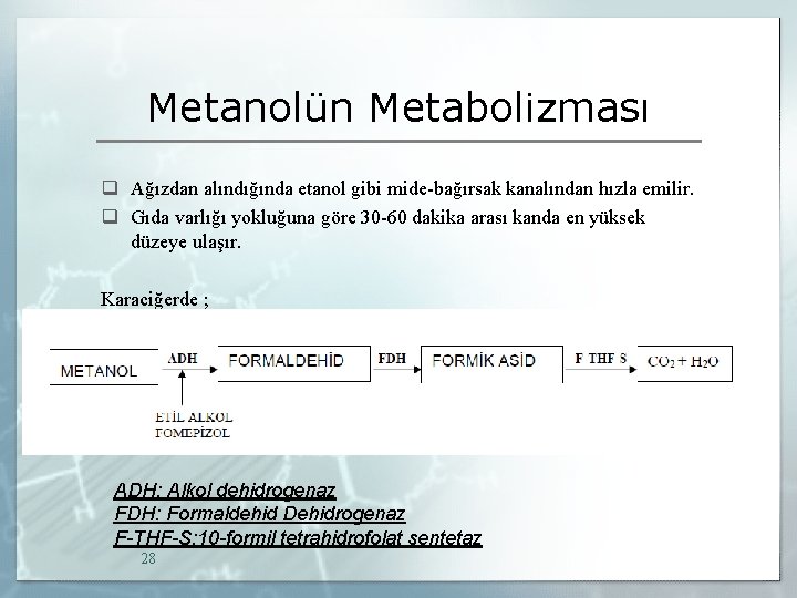 Metanolün Metabolizması q Ağızdan alındığında etanol gibi mide-bağırsak kanalından hızla emilir. q Gıda varlığı