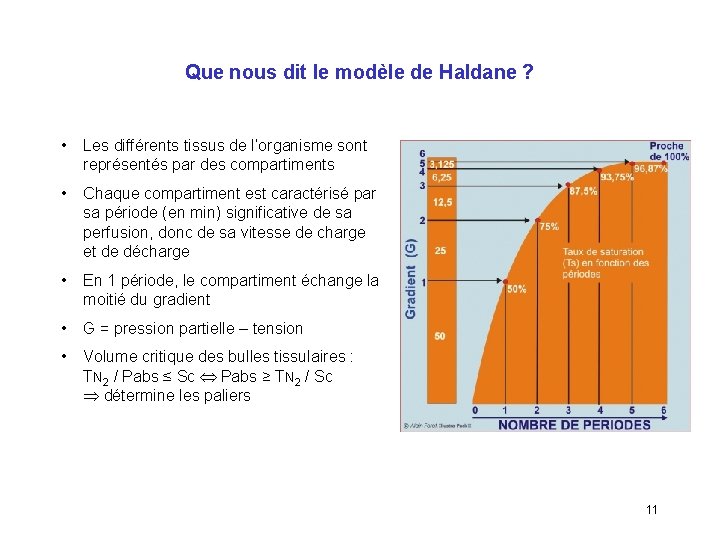 Que nous dit le modèle de Haldane ? • Les différents tissus de l’organisme
