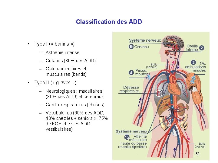 Classification des ADD • Type I ( « bénins » ) – Asthénie intense