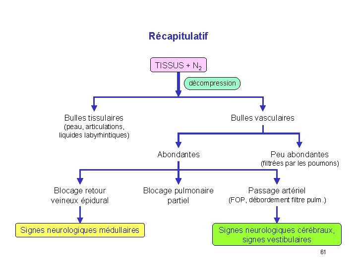 Récapitulatif TISSUS + N 2 décompression Bulles tissulaires Bulles vasculaires (peau, articulations, liquides labyrhintiques)