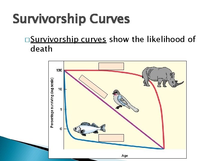 Survivorship Curves � Survivorship death curves show the likelihood of 