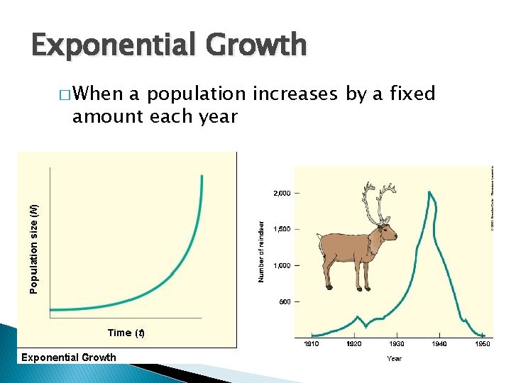 Exponential Growth � When a population increases by a fixed amount each year 
