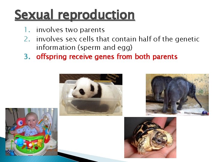 Sexual reproduction 1. involves two parents 2. involves sex cells that contain half of